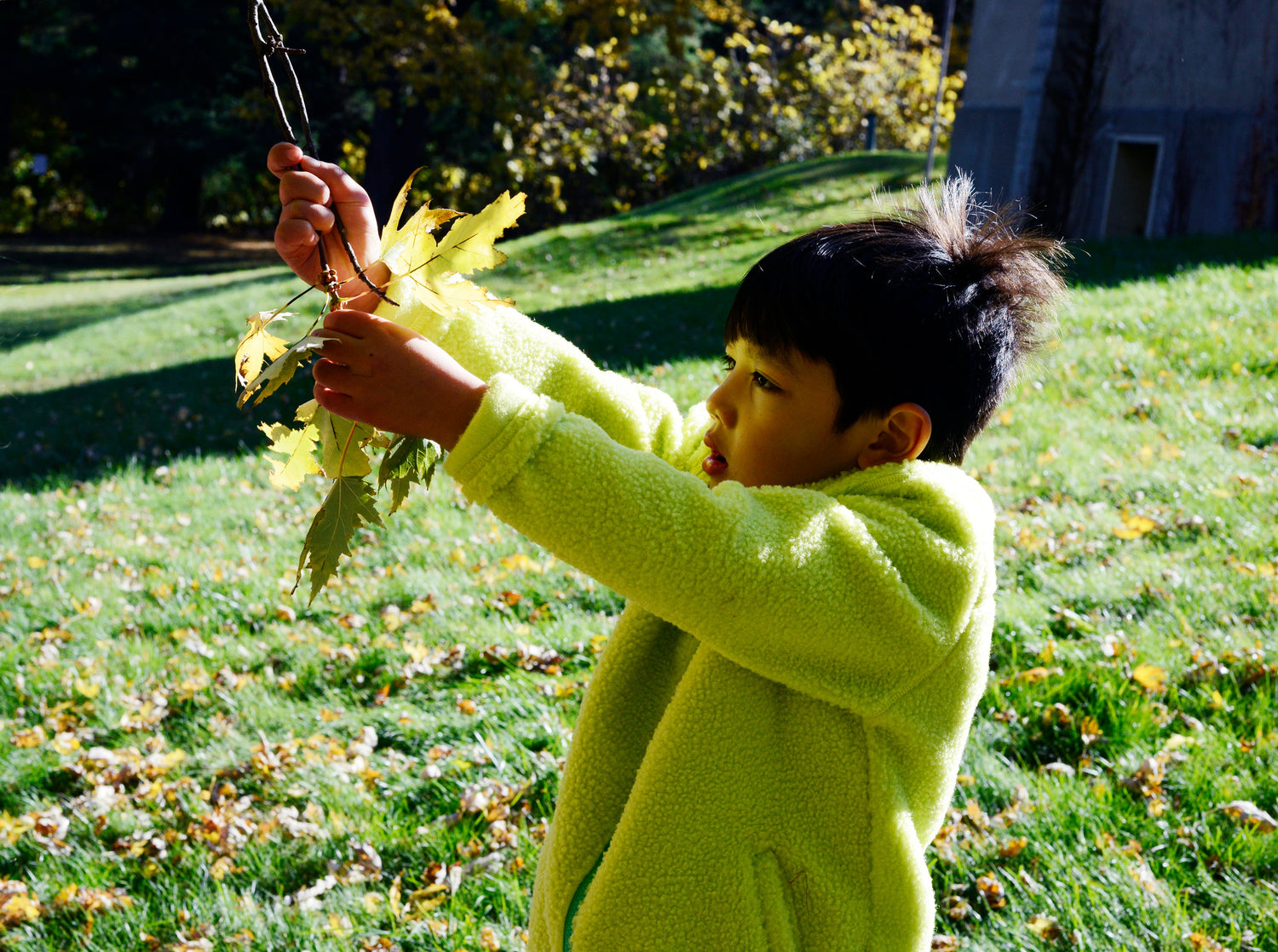 Boy's Winter Fleeces